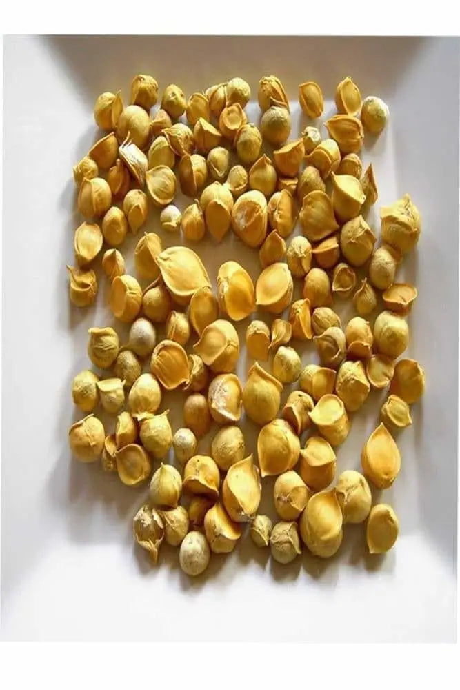 Benefits of Snow Mountain Garlic