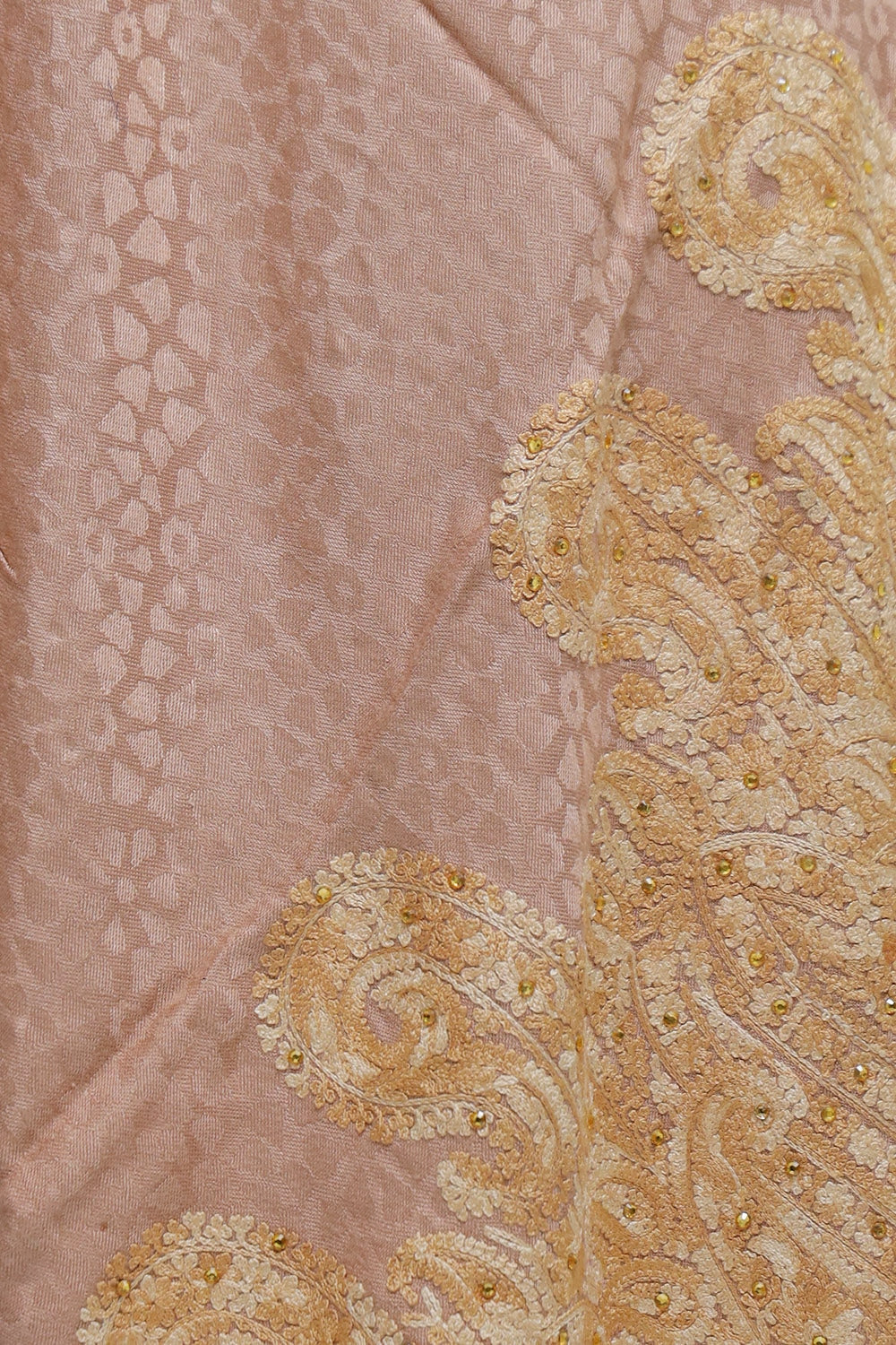 Fawn Colour Wrap Enriched With Aari Embroidery And A Touch