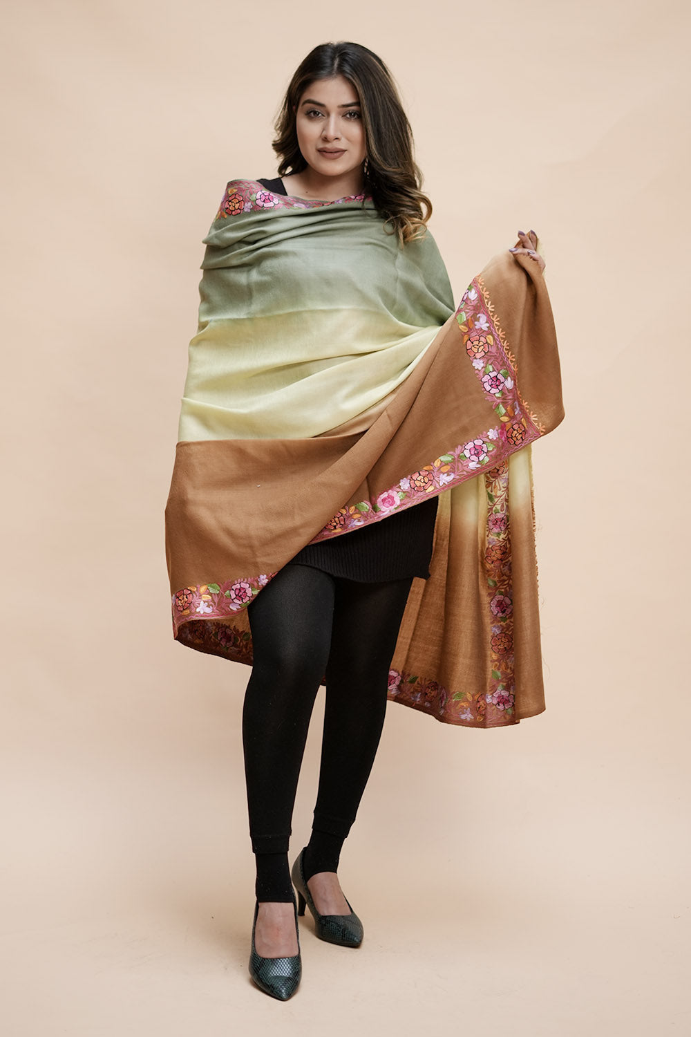 Ombre Color Kashmiri Shawl With Aari Border Gives A Trendy