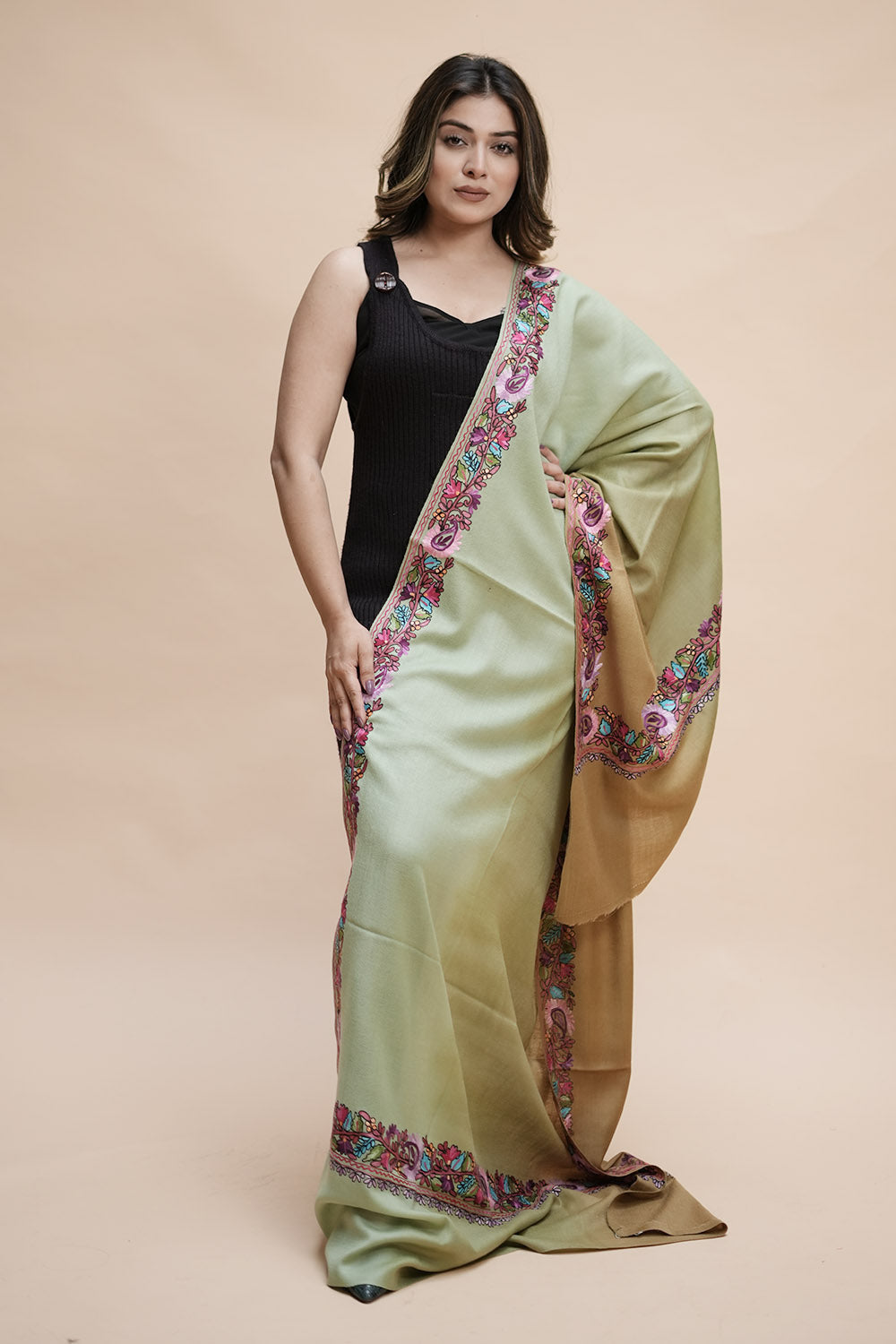Ombre Color Kashmiri Shawl With Aari Border Gives A Trendy