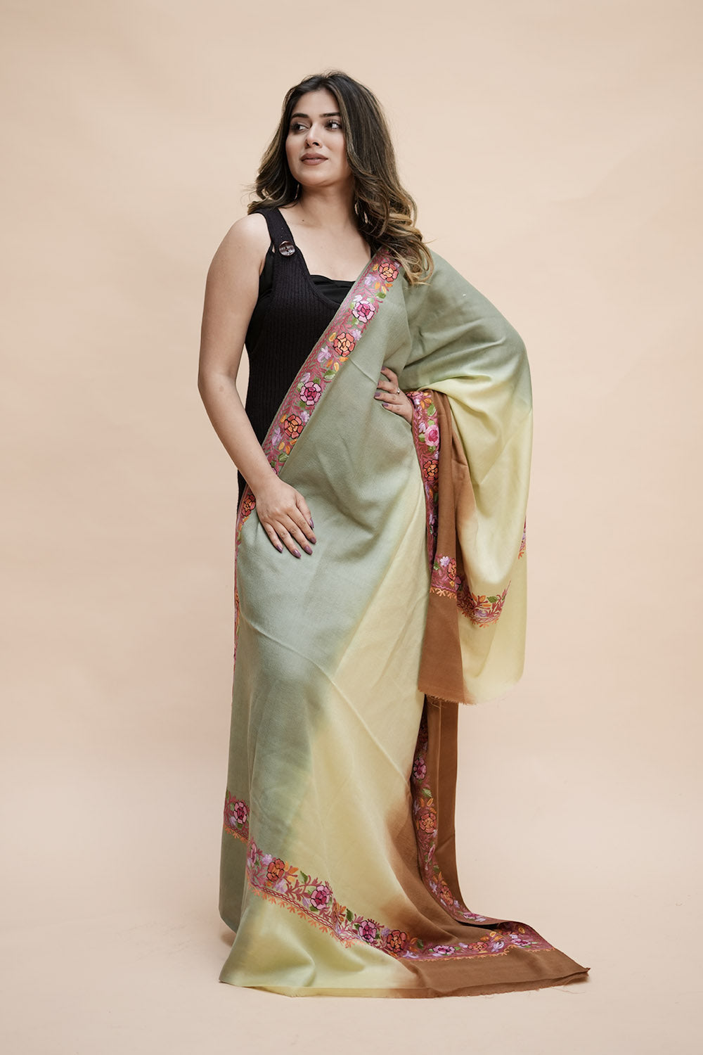 Ombre Color Kashmiri Shawl With Aari Border Gives A Trendy
