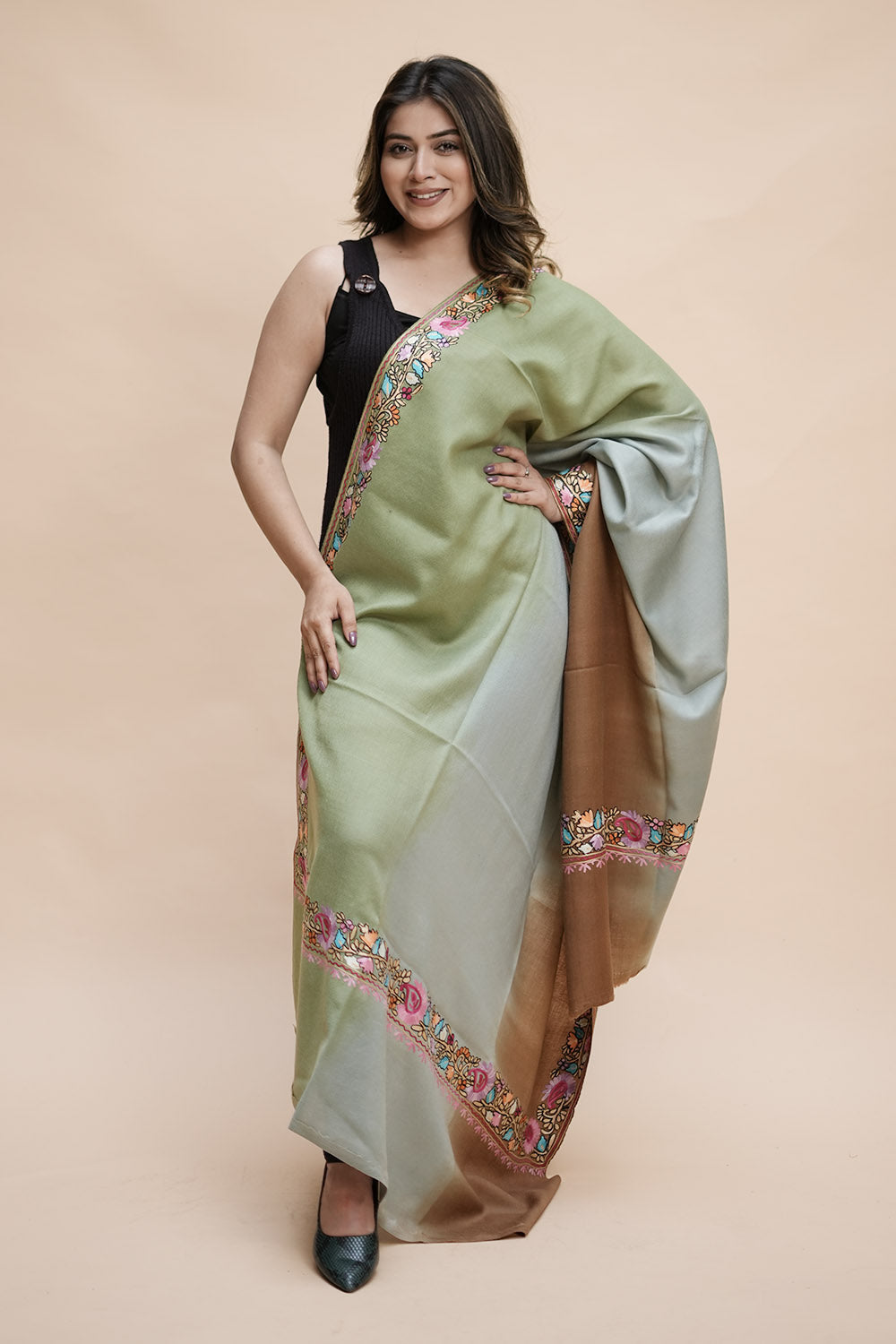 Ombre Color Kashmiri Shawl With Aari Border Gives A Trendy