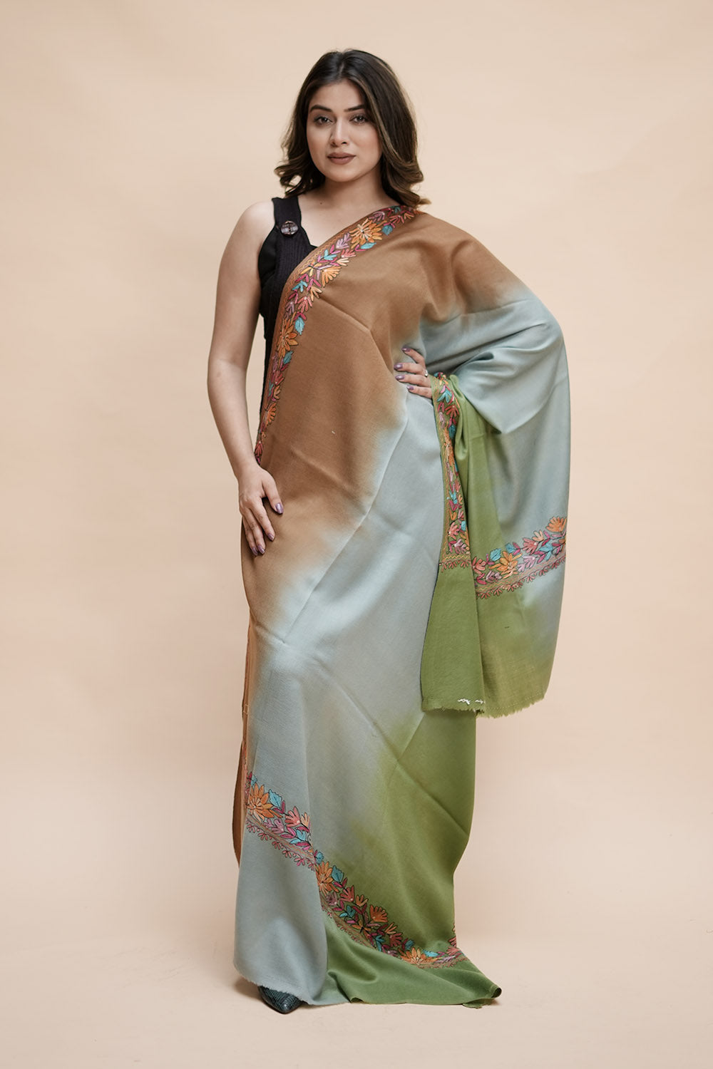 Ombre Color Kashmiri Shawl With Aari Border Gives A Trendy