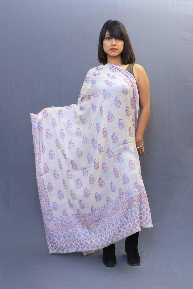 On The Base Of White Color With Red N Blue Kani Border