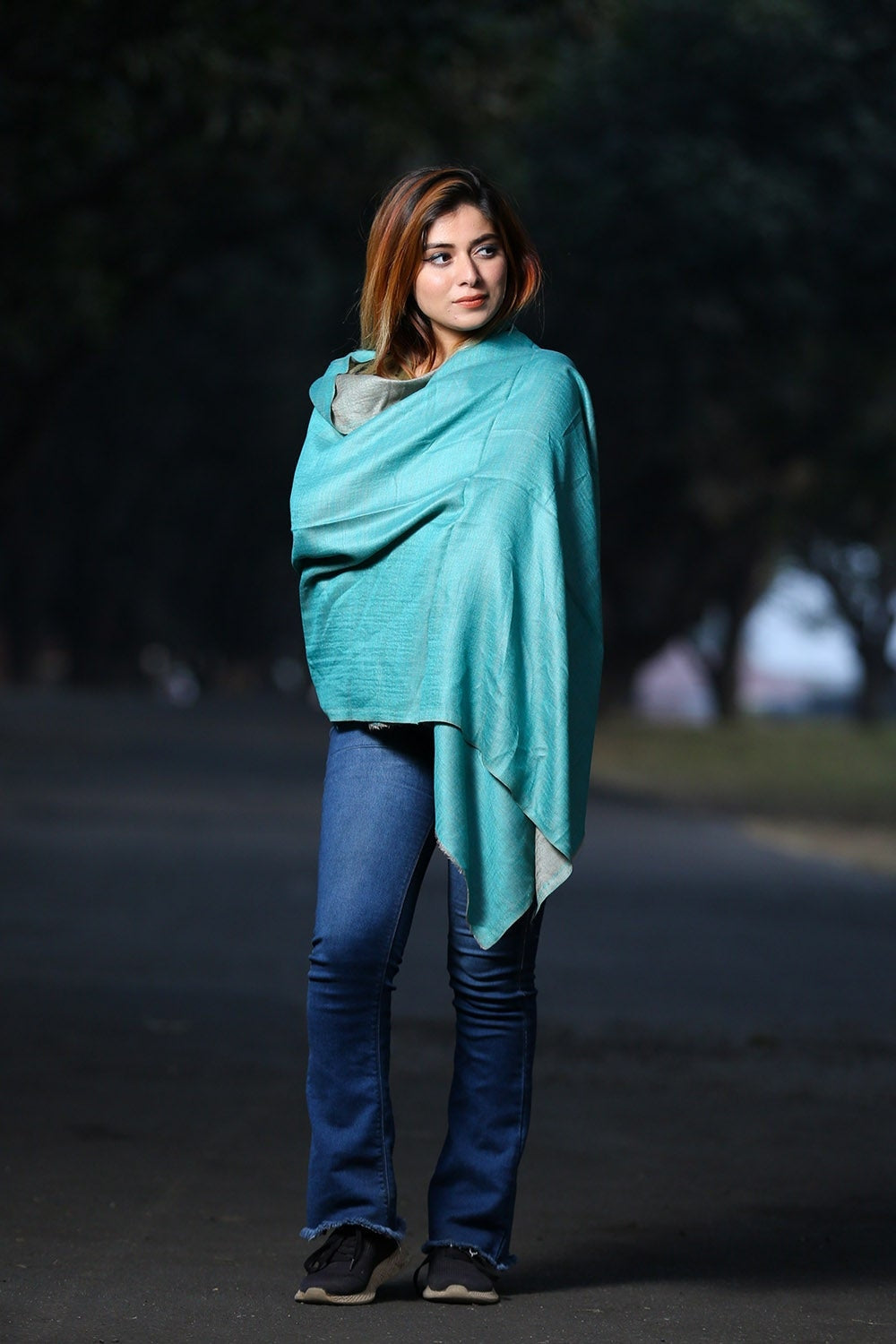 BEAUTIFUL FIROZI BLUE COLOUR REVERSIBLE ZARI KASHMIRI STOLE