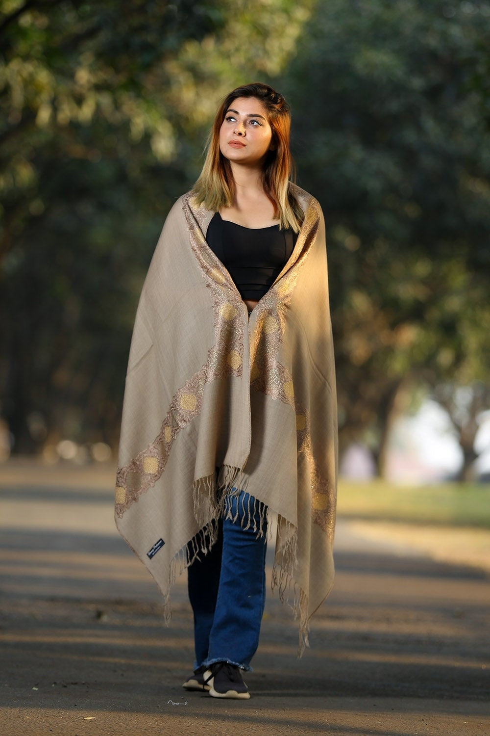 BEIGE (SHADE OF BROWN) COLOUR KASHMIRI STOLE WITH CLASSY
