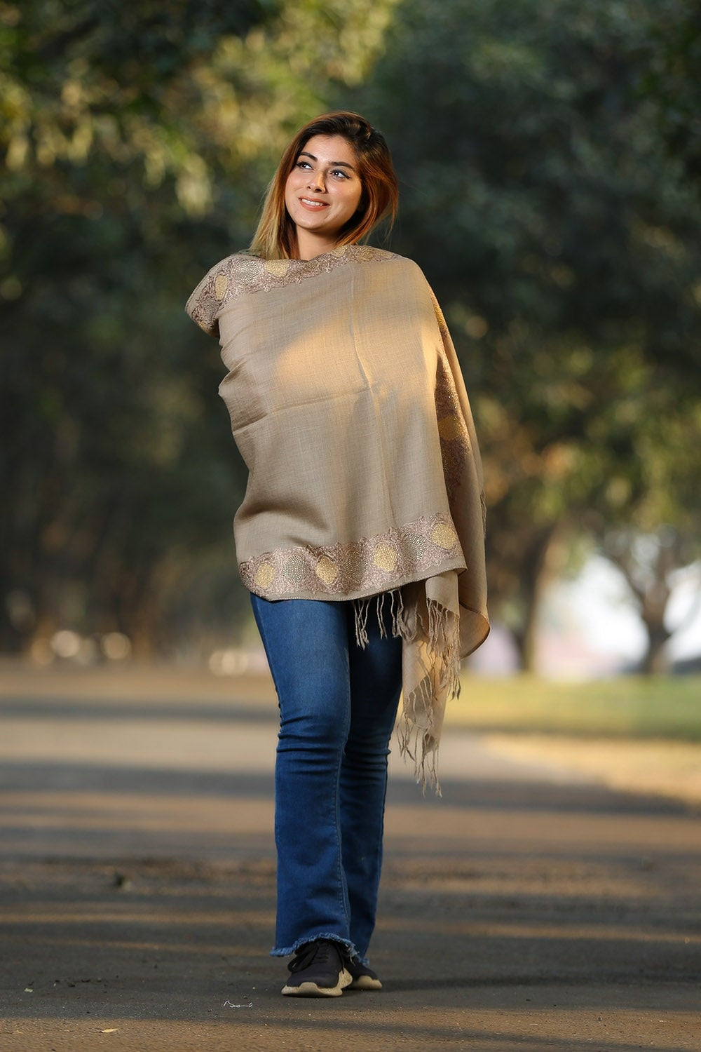 BEIGE (SHADE OF BROWN) COLOUR KASHMIRI STOLE WITH CLASSY
