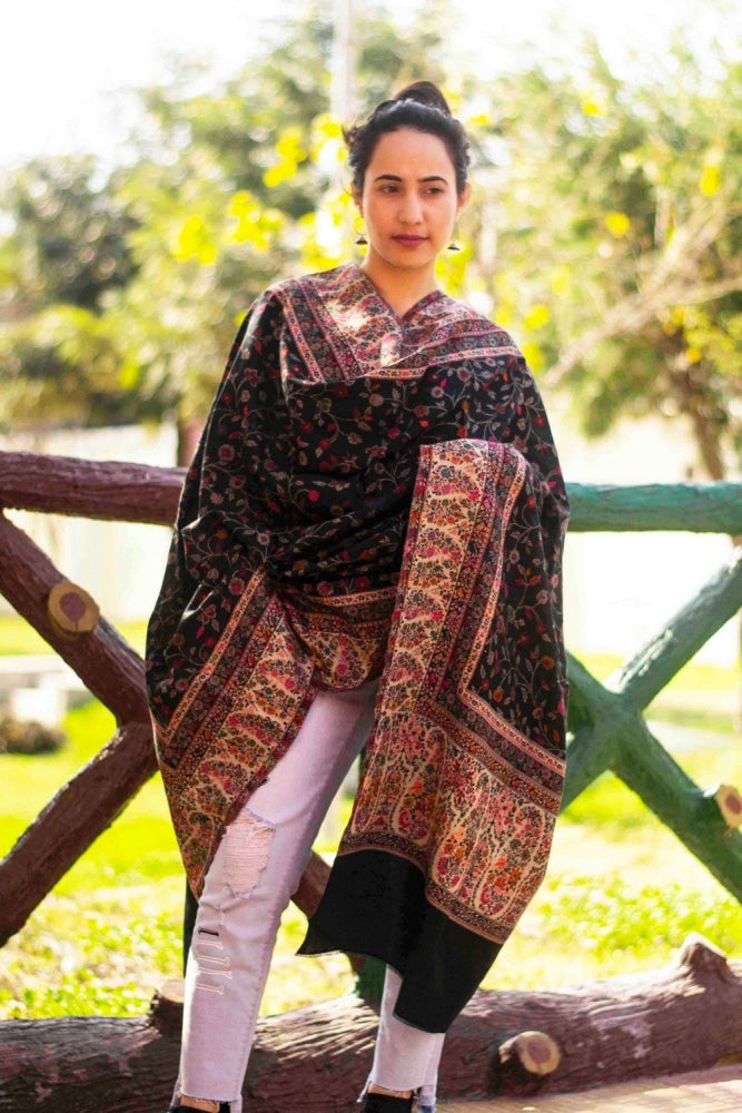 Black Colour Beautiful Kani Border And AllOver Multi color