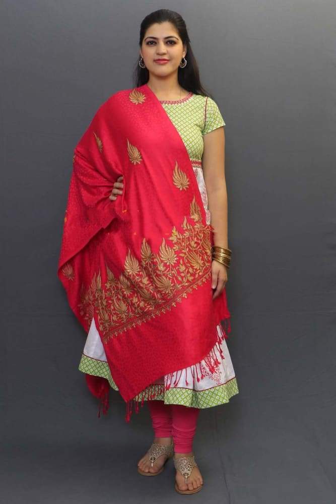 Carrot Color Stole Enriched With Aari Embroidery
