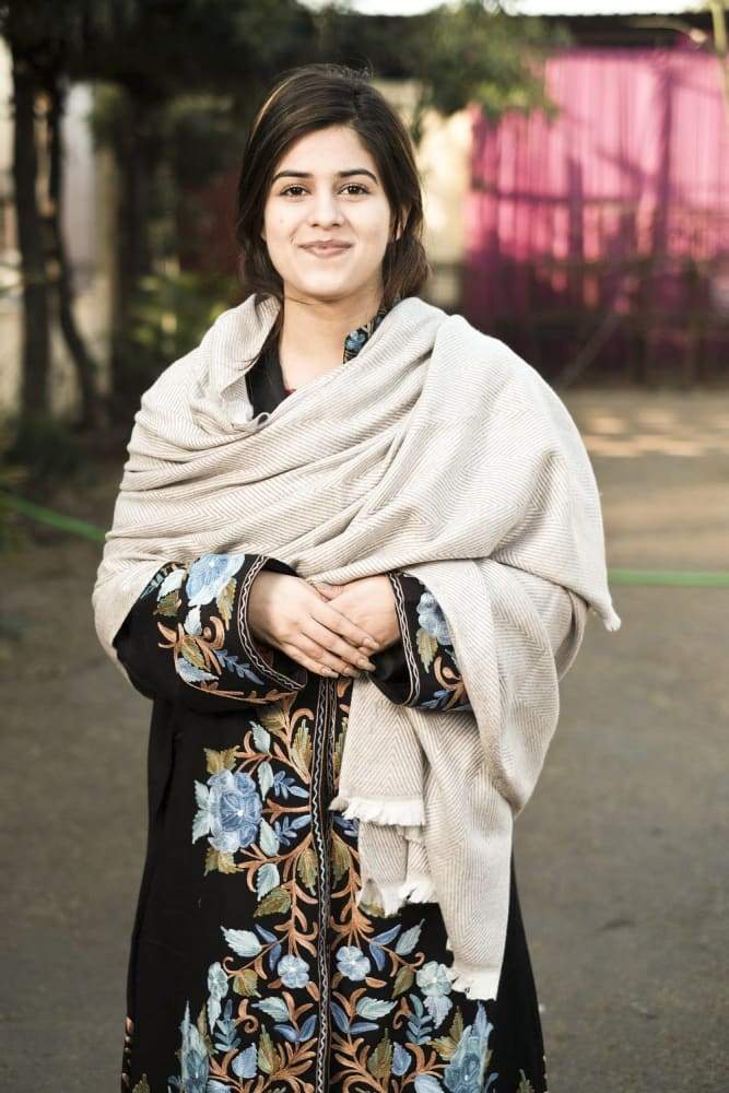 Cream And Brown Color Texture Semi pashmina Ladakhi Wool