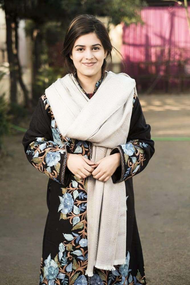 Cream And Brown Color Texture Semi pashmina Ladakhi Wool