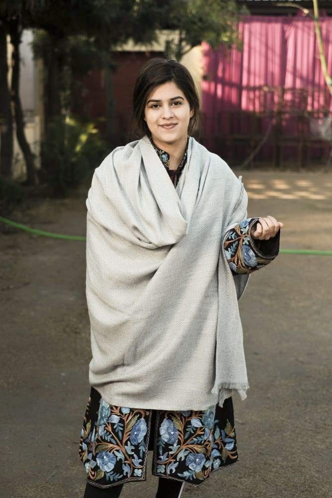 Dark Grey and Beige Color Texture Semi pashmina Ladakhi