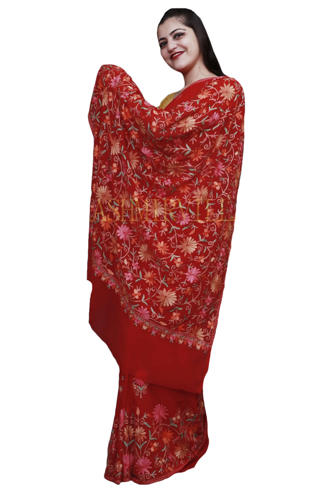 Hot Red Colour Saree With Dense Aari Jaal On Pallu