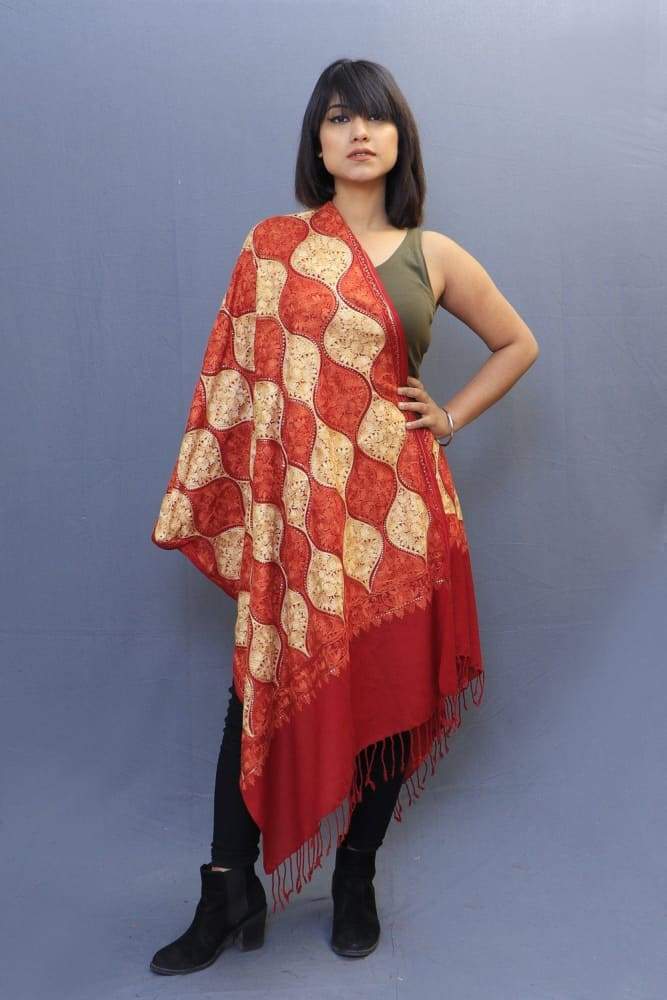 Maroon Colour Base Having Dense Aari Embroidery