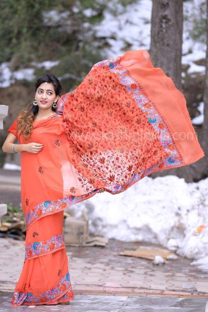 Rust Brown Kashmiri Aari Work Saree Enriched With Floral