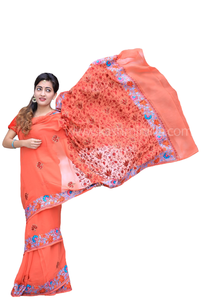 Rust Brown Kashmiri Aari Work Saree Enriched With Floral