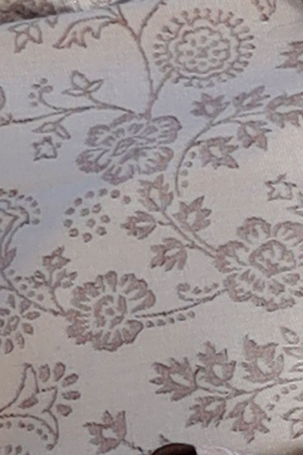 Sandy Fawn COLOUR KANI SHAWL WORK DEFINES ROYAL