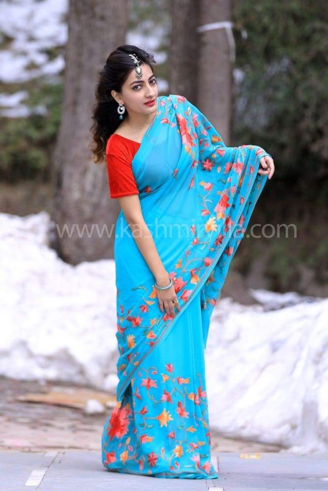 Sea Green Color Kashmiri Aari Work Embroidered Saree