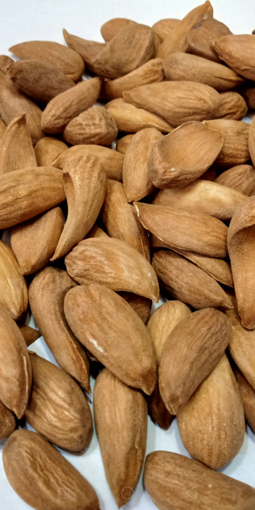 Super Fine Kashmiri Mamra Almonds Without Shell 250 Gms