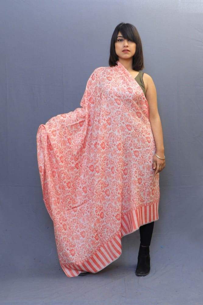 White Colour Base With Red All Over Kani Jaal A Perfect