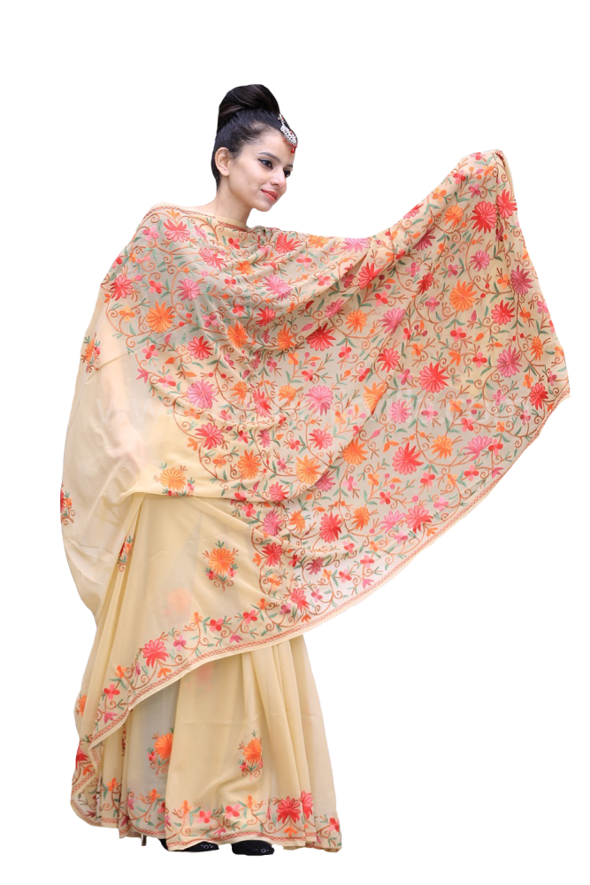 Beige Color Kashmiri Aari Work Embroidered Sarees Enriched