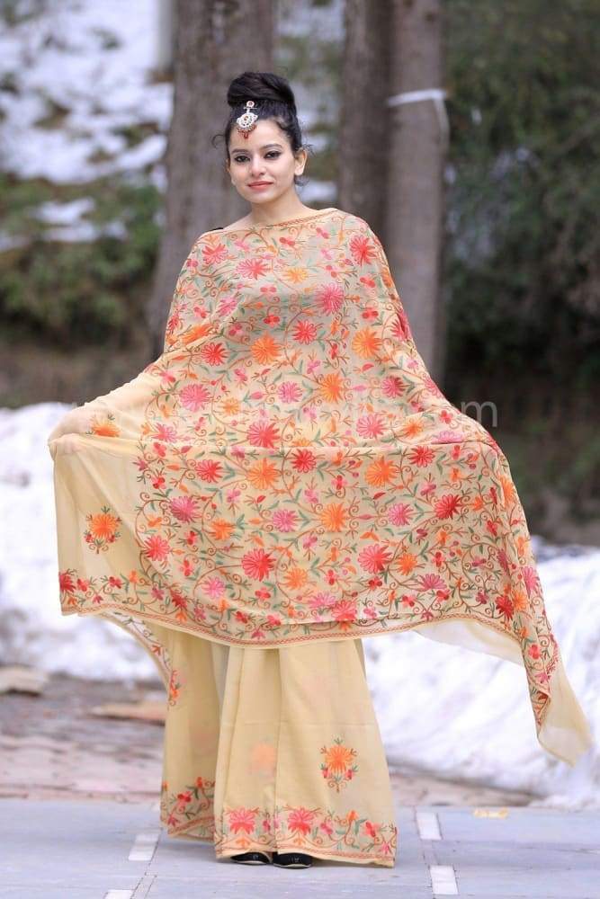 Beige Color Kashmiri Aari Work Embroidered Sarees Enriched