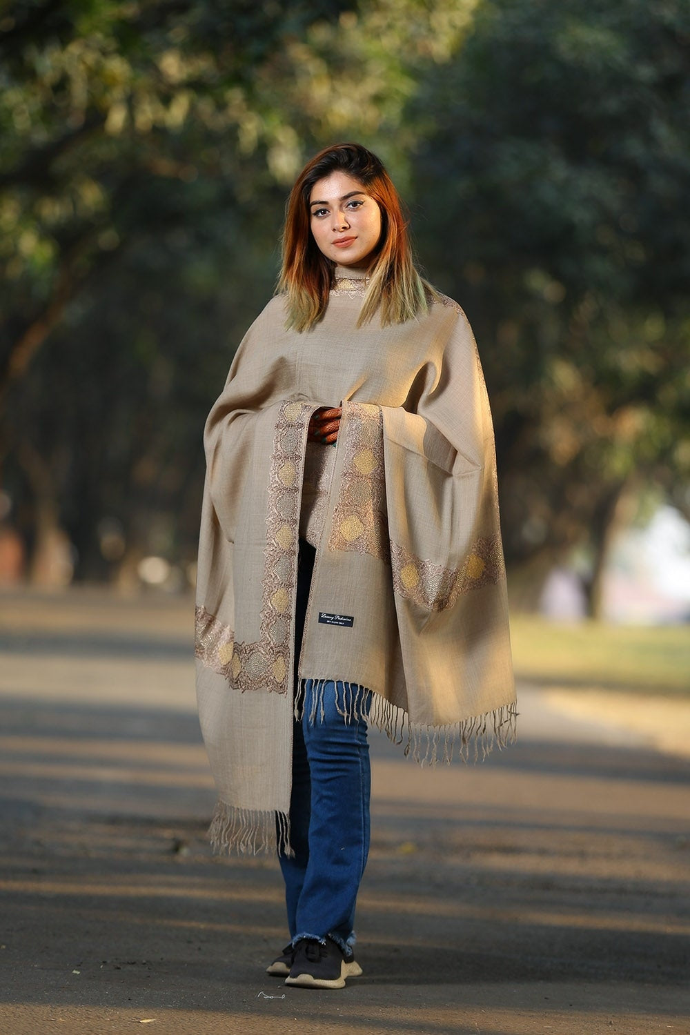 BEIGE (SHADE OF BROWN) COLOUR KASHMIRI STOLE WITH CLASSY