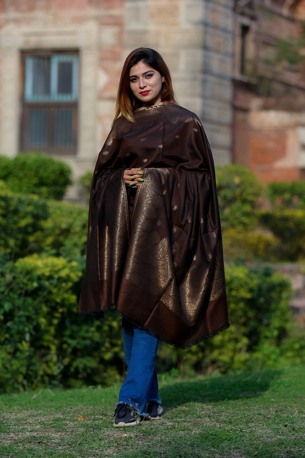BROWN SHAWL DEFINES ROYAL AND LUXURIOUS EXTREMELY