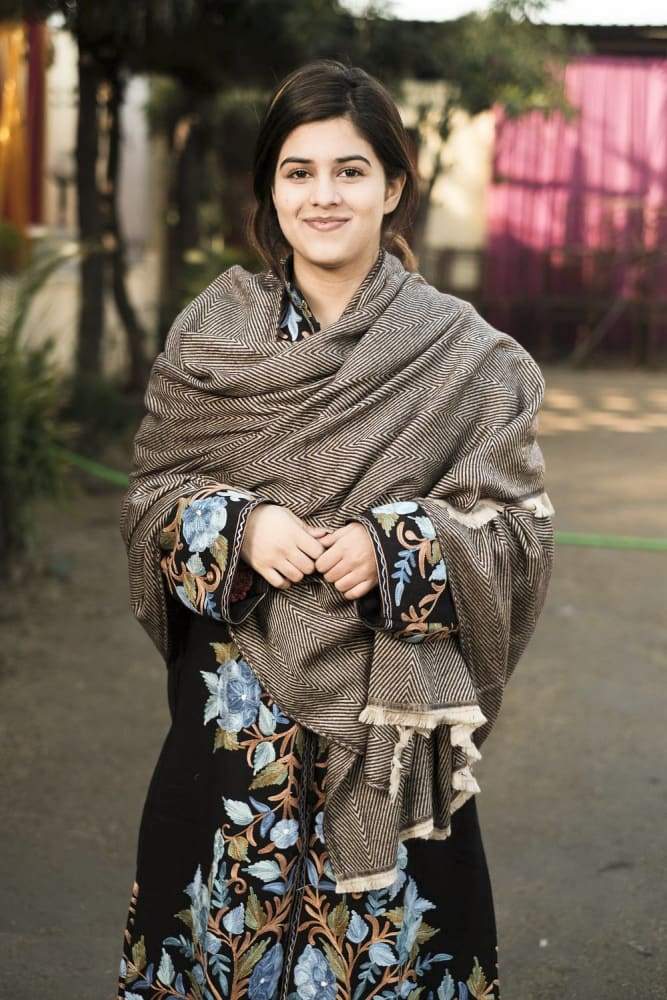 Coffee And Beige Color Texture Semi pashmina Ladakhi Wool