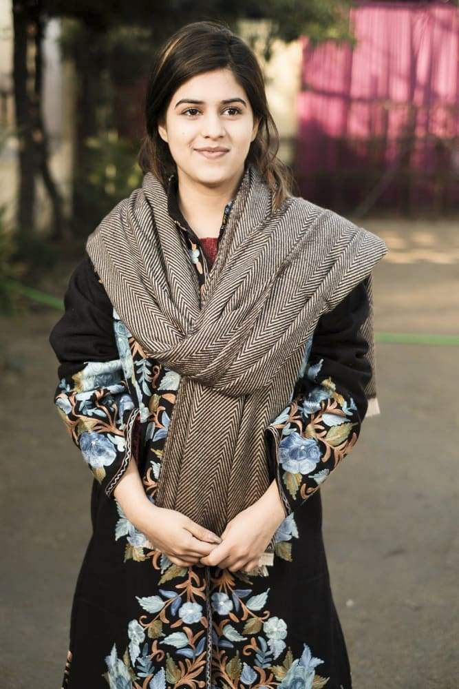 Coffee And Beige Color Texture Semi pashmina Ladakhi Wool
