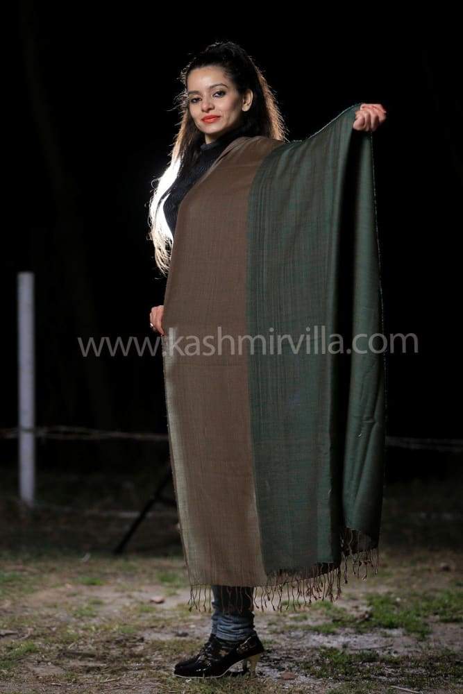 Green Colour Kashmiri Pashmina Reversible Shawl