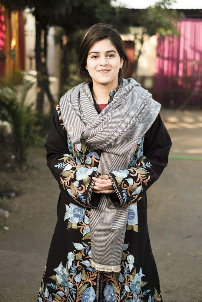 Grey And Beige Color Texture Semi pashmina Ladakhi Wool