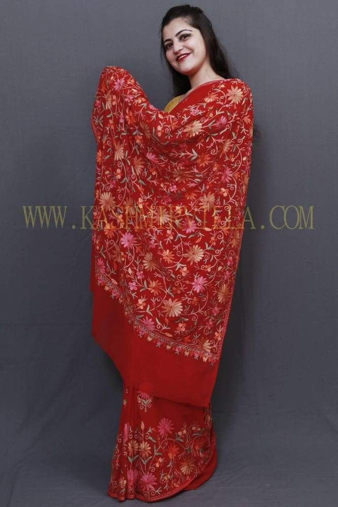 Hot Red Colour Saree With Dense Aari Jaal On Pallu