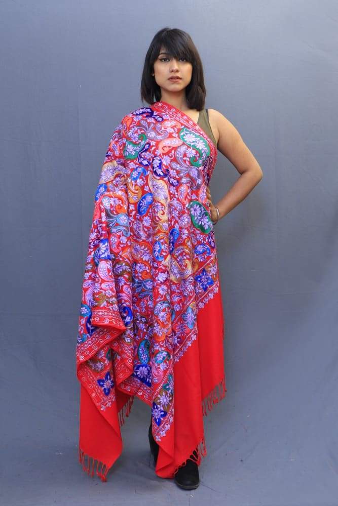 Hot Red Colour Wrap With Richly Designed Aari Jaal