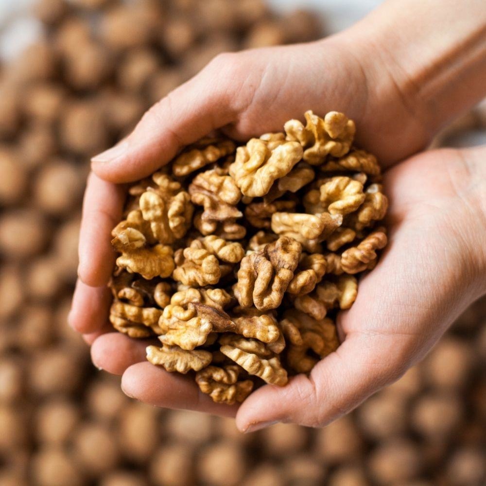 Premium Kashmiri Walnuts Akhrot Without Shell at Wholesale