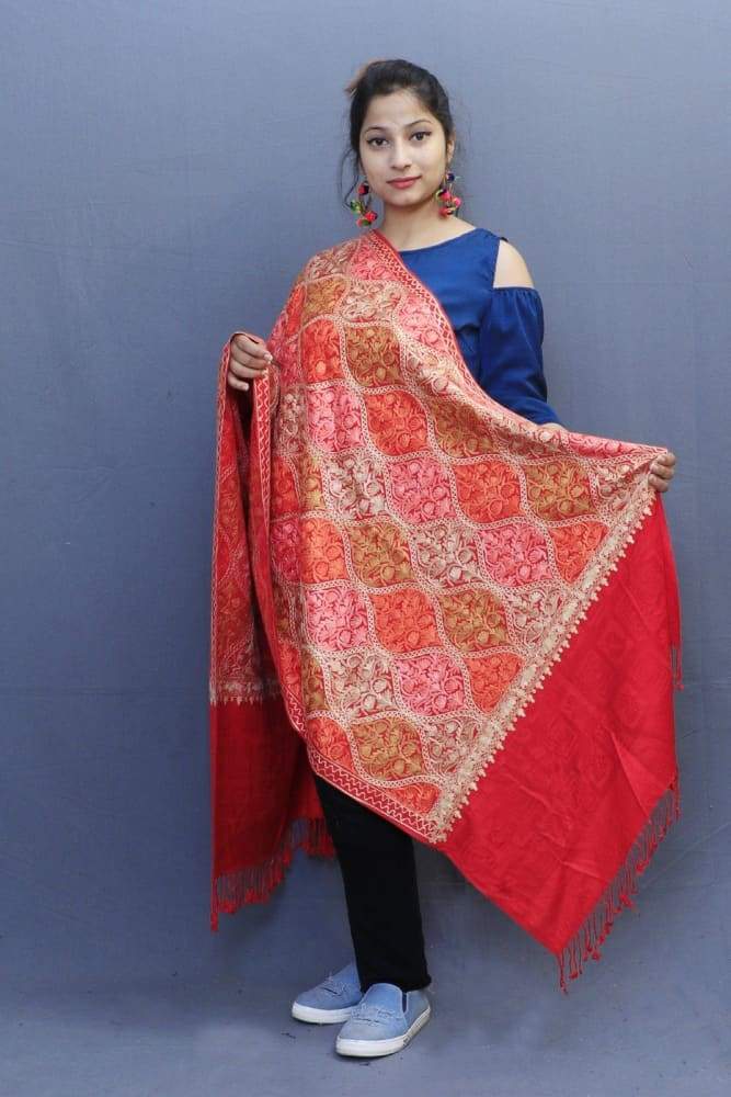 Red Colour StoleW ith Beautiful Allover Aari Jaal Is Perfect