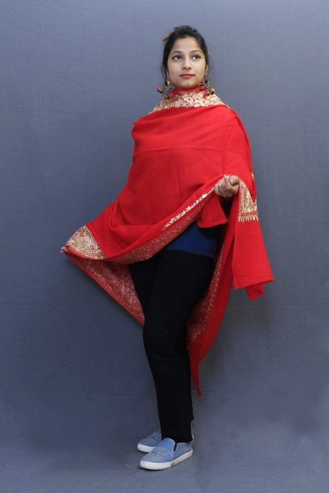 Red Colour Wrap With Fawn Aari Embroidery Looks Beautiful