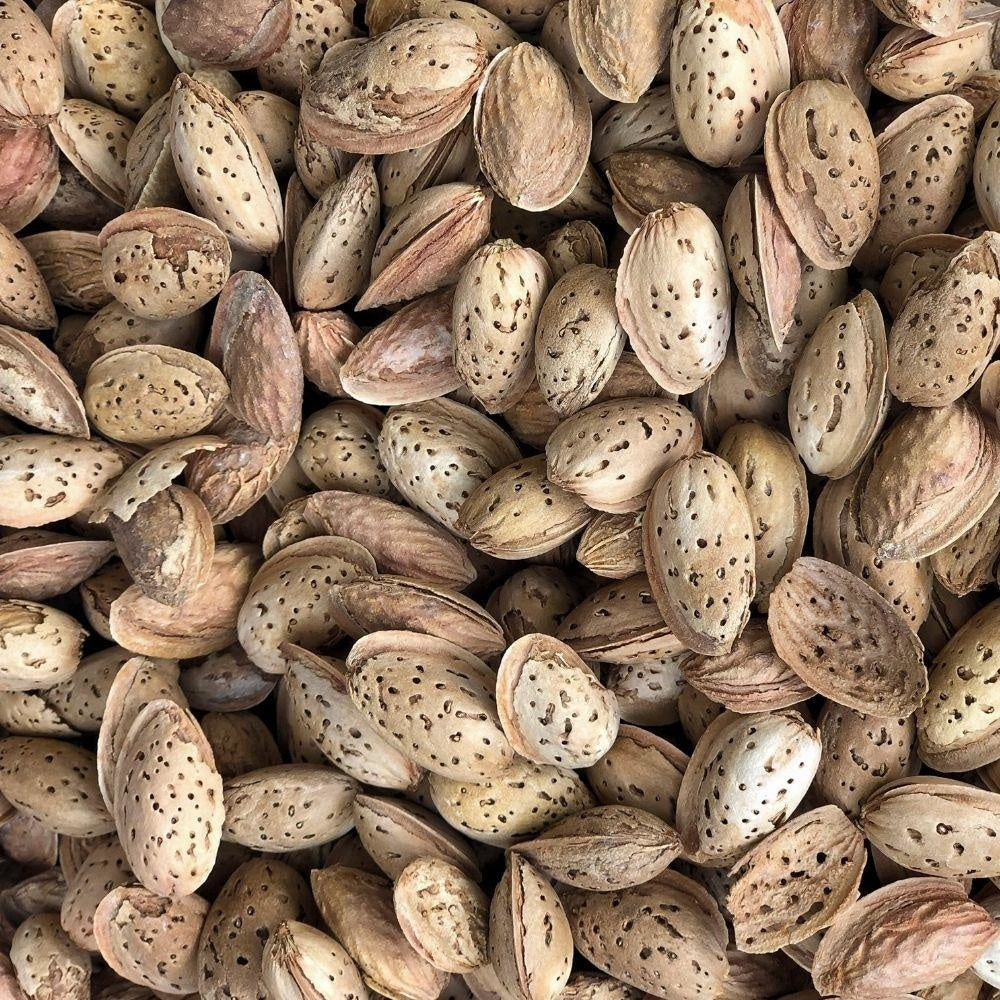 Super Fine Kashmiri Almonds With Shell Kagzi Badam