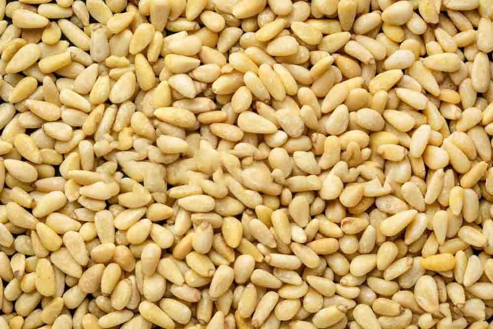Superior Quality Fresh Pine Nuts Chilgoza Without Shell