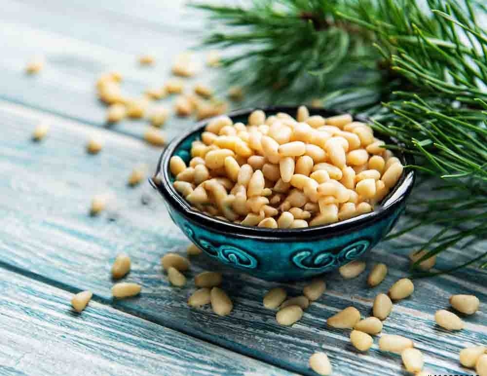 Superior Quality Fresh Pine Nuts Chilgoza Without Shell Pack